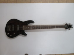 Schecter Raiden Special 5